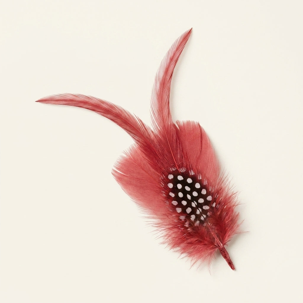 Goose Biot, Turkey & Guinea Plumage Feather Hat Pin
