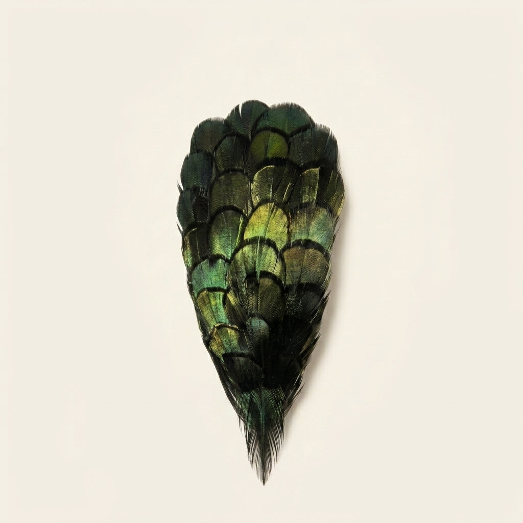 Lady Amherst Hair Clip '01'