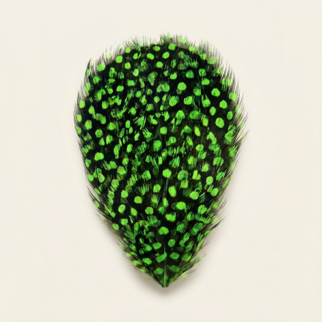 Guinea Hair Clip '04'