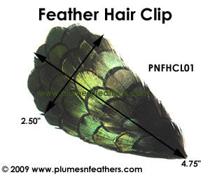 Lady Amherst Hair Clip '01'