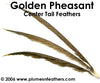 Golden Nat. Center Tails 20"/30"