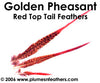 Golden Nat. "Redtop" Tail 4"/6"