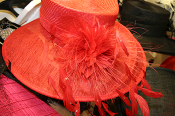 Milliner's Feathers
