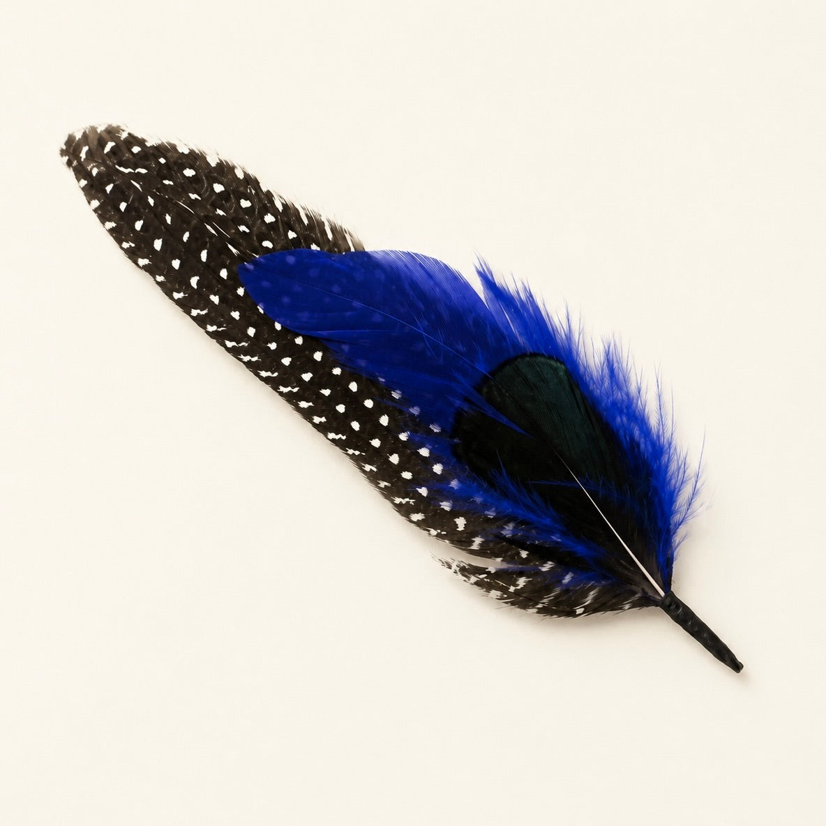 Guinea Wing, Schlappen & Pheasant Feather Hat Pin