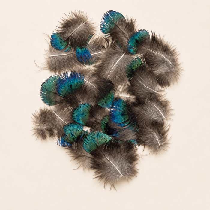 Natural Peacock Turquoise Plumage Feathers – 25 Pieces