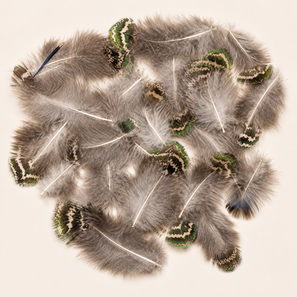 Natural Peacock Speckled Plumage Feathers – 25 Pieces