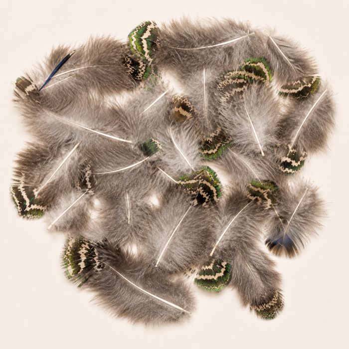 Natural Peacock Speckled Plumage Feathers – 25 Pieces