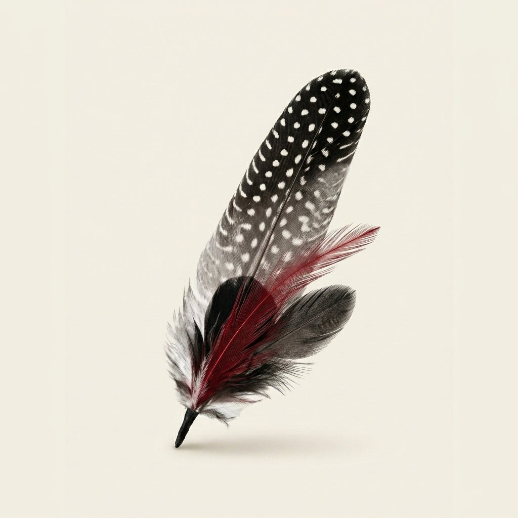 Natural Guinea Wing & Pheasant Feather Hat Pin