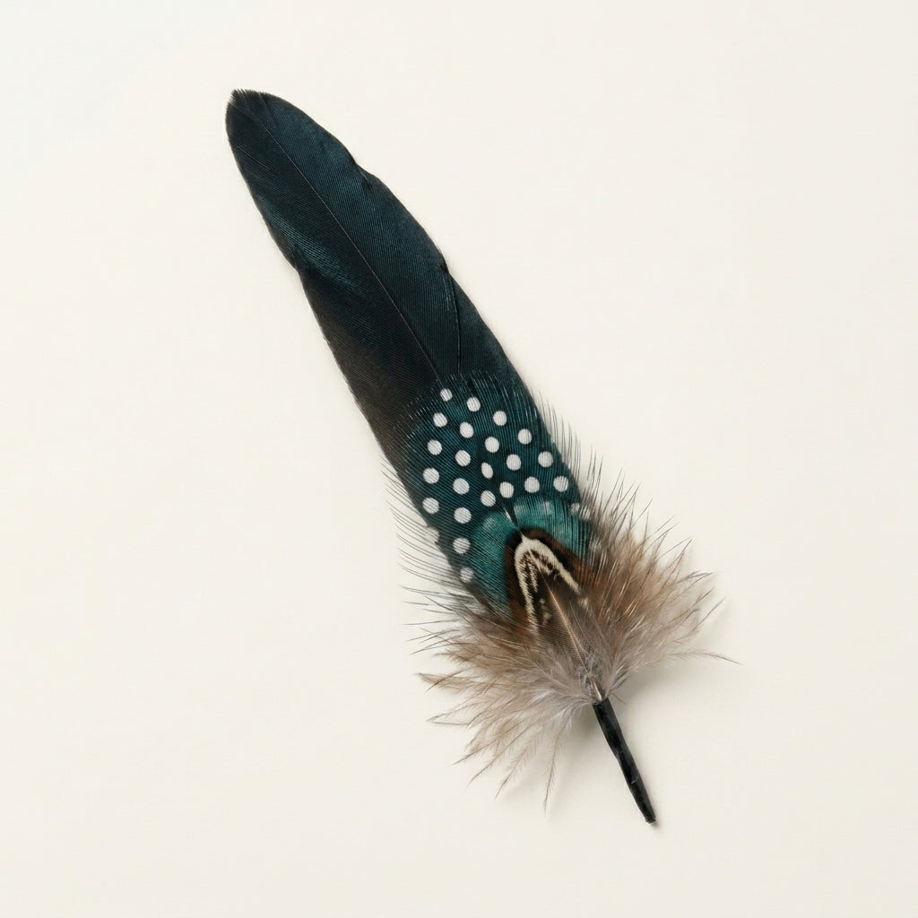 Bronze Coque, Guinea & Ringneck Pheasant Feather Hat Pin