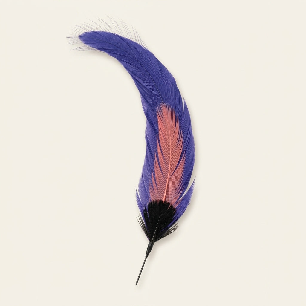 Natural Black Coque Tail, Turkey & Hackle Feather Hat Pin