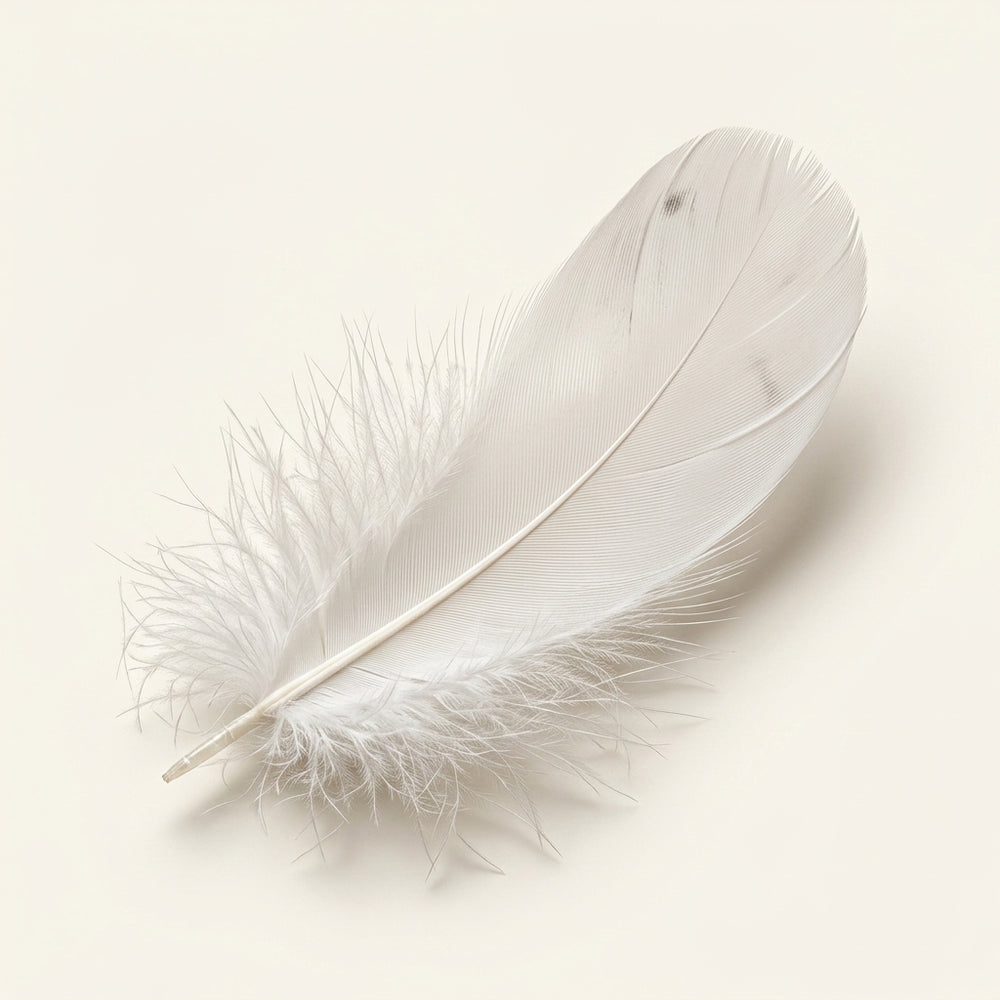 Bleached White Sliced Strung Goose “Nagoire” Feathers- 1/2 Oz. Pack