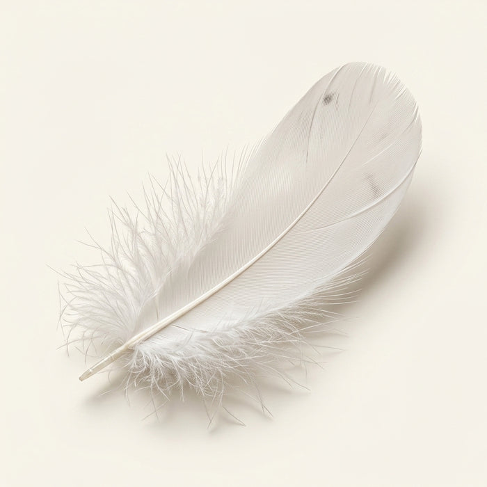 Bleached White Sliced Strung Goose “Nagoire” Feathers- 1/2 Oz. Pack