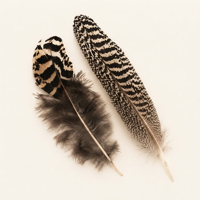 Peacock Speckled / Mottled Wing Quill Feathers