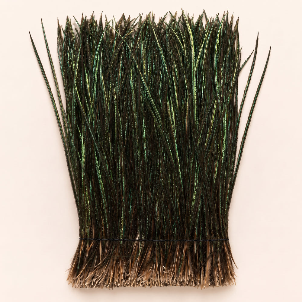 Peacock Herl (Flue) Strung- 1/4 Oz. Pack