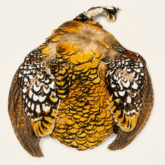 Reeves Venery Pelt (Skin)