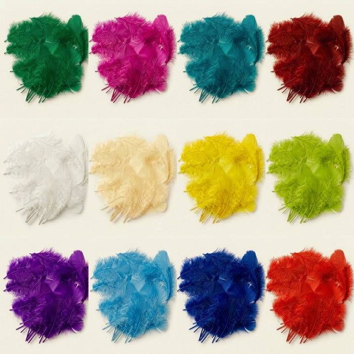 Turkey Plumage Dyed Selected- 25 Pieces