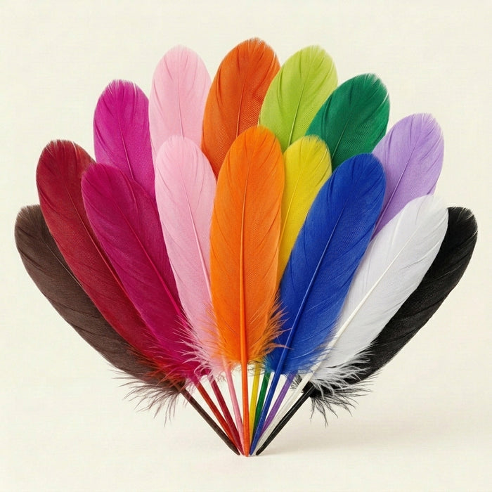 1st Grade Dyed Turkey Quill Feathers