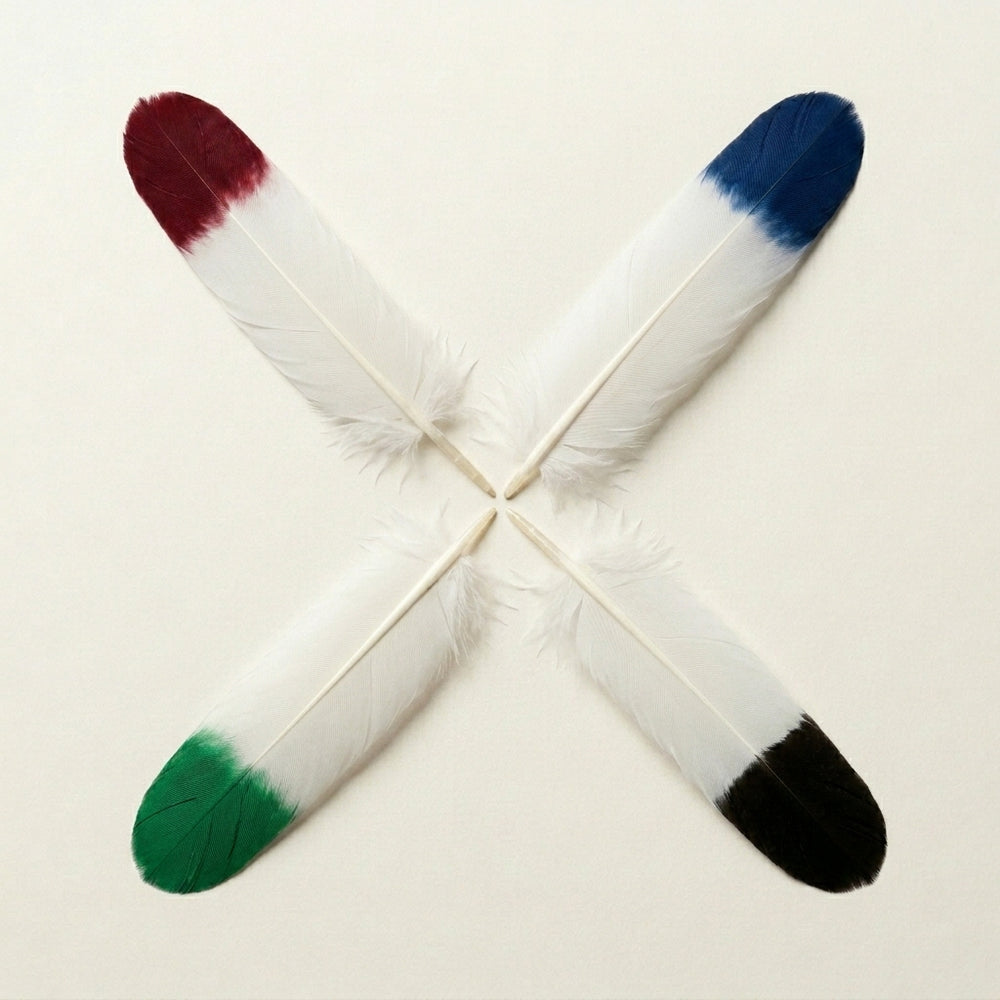 1st Grade Bleached & Tip-Dyed Turkey Quill Feathers