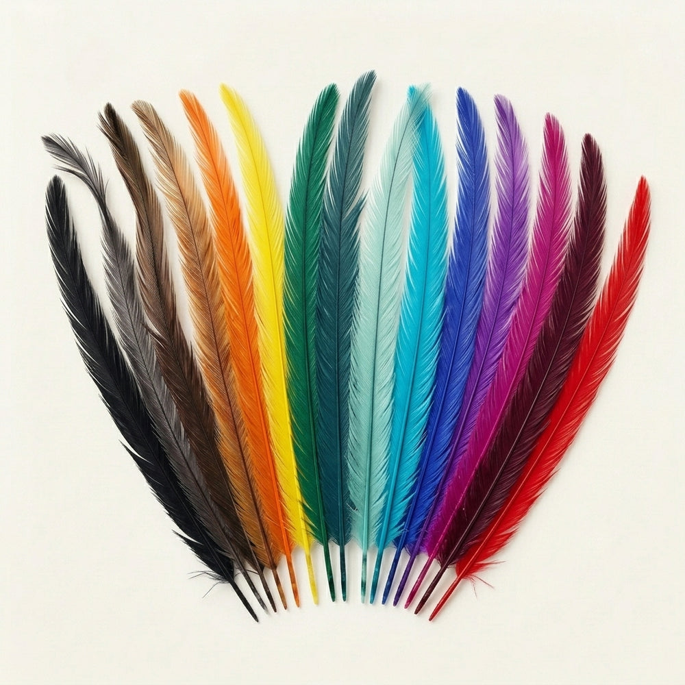 Dyed Emu Feathers- 20 Pieces
