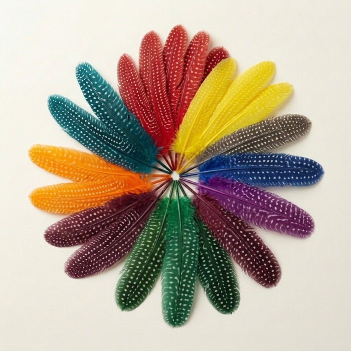 Dyed Guinea (Polka Dot) Wing “Round” Feathers
