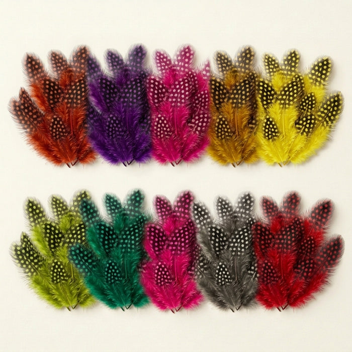 Top Grade Natural/Dyed Guinea (Polka Dot) Plumage Feathers- 25 Pieces