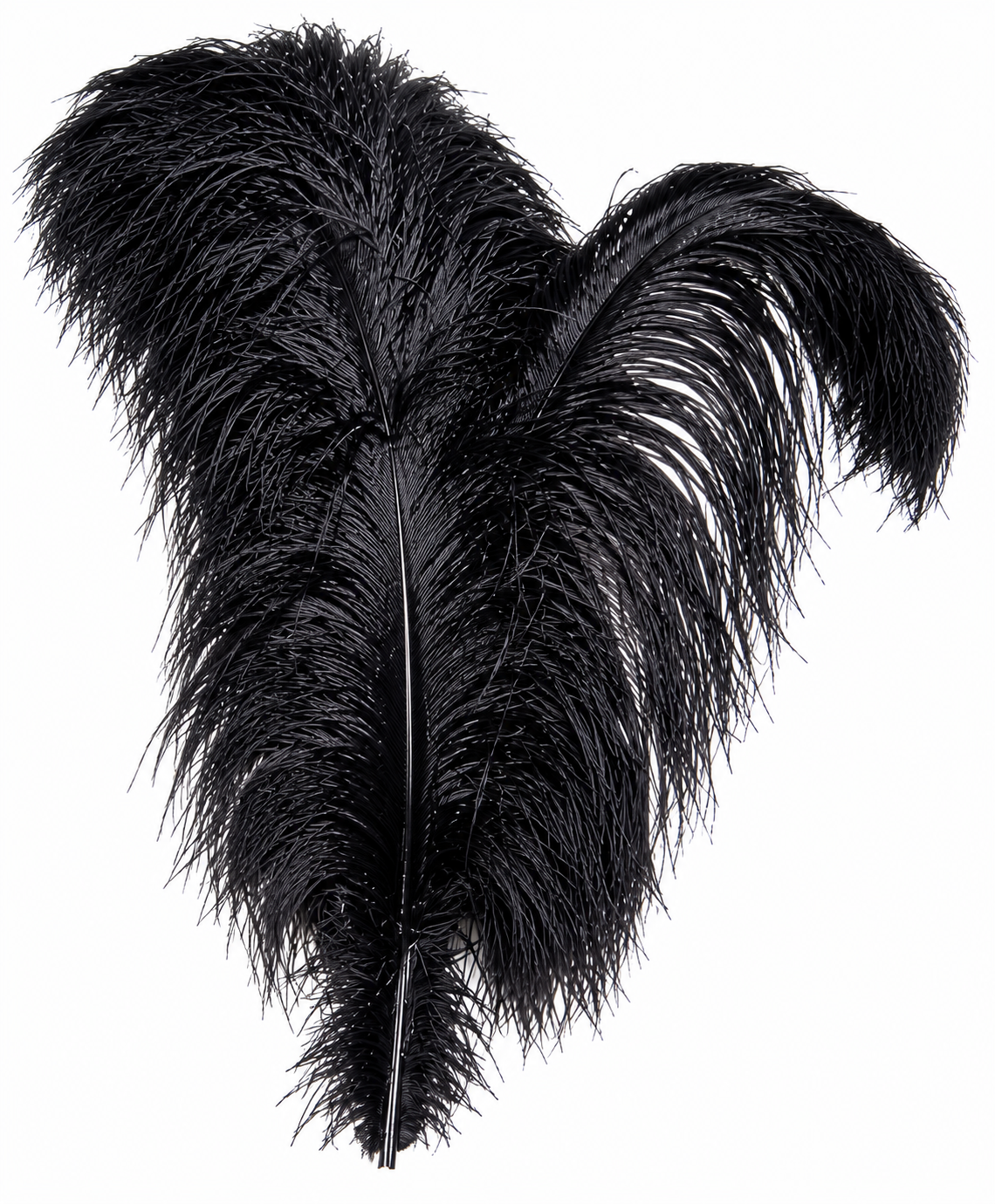 Ostrich Wing Dyed 13"/17"