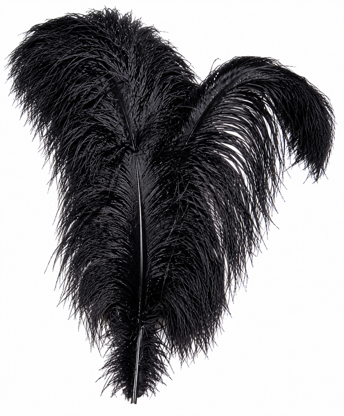 Ostrich Wing Dyed 13"/17"