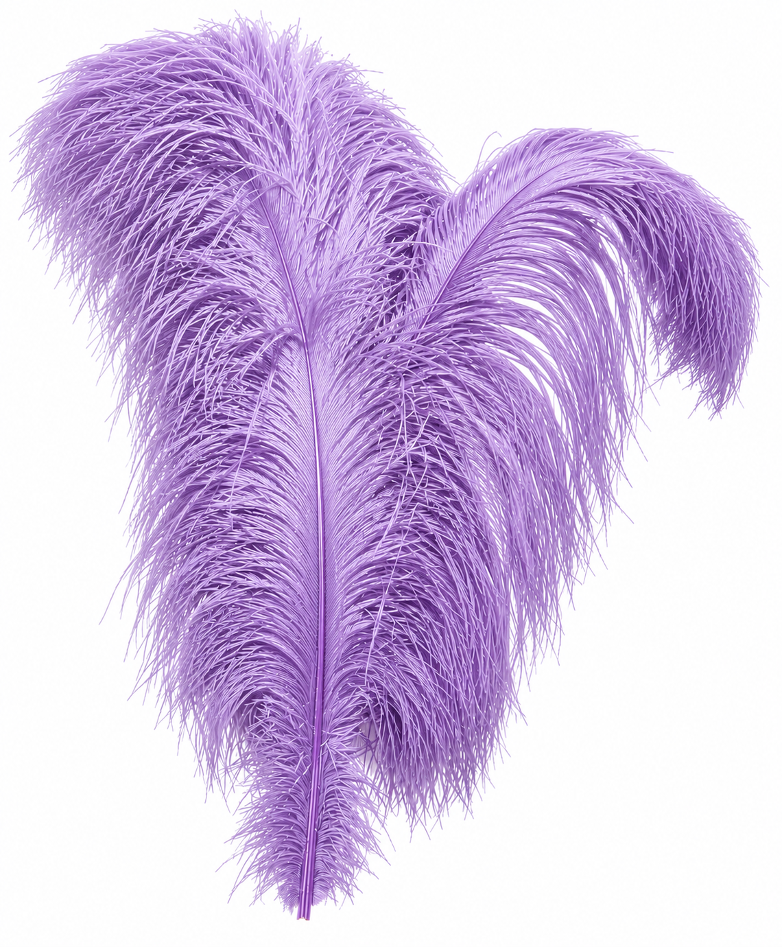 Ostrich Wing Dyed 13"/17"