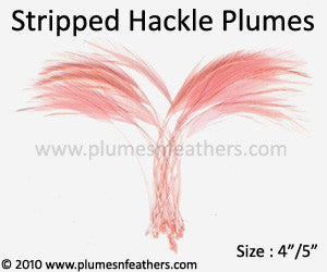 Coque Hackle Stripped Dyed Selected 4”/5”