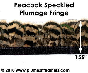 Peacock Speckled Plumage Fringe