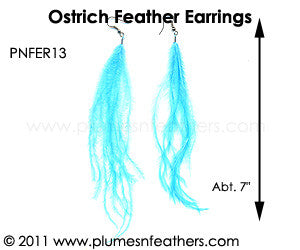 Feather Earrings PNFER13