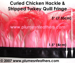 Stripped Curled Coque Hackle Turkey Fringe