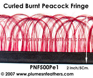 Peacock Fringes