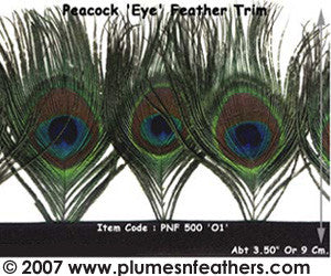 Peacock 'Eye' Feather Fringe I