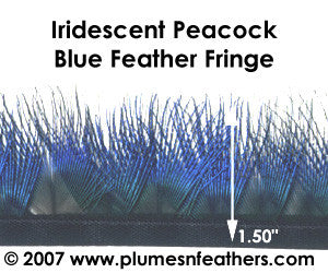 Peacock Blue Plumage Fringe