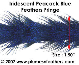 Peacock Blue Plumage Trim