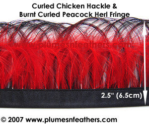 Burnt Curled Peacock Herl and Coque Hackle Fringe MM3