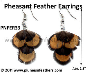 Feather Earrings PNFER33