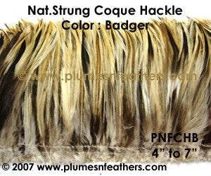Natural Strung Badger Hackle Feathers +2" ½ Oz.