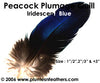 Peacock Blue Iridescent Quills 3"/5"
