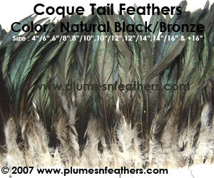 Nat. Bronze Tails 4"/6"