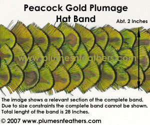 Hat Band '11'