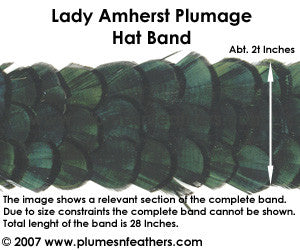 Hat Band '12'