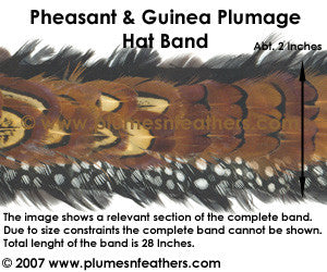 Hat Band '13'