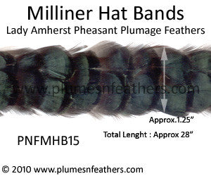 Hat Band '15'