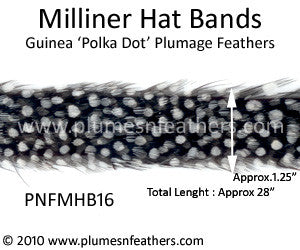 Hat Band '16'
