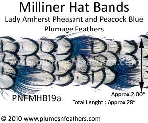 Hat Band '19a'