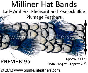 Hat Band '19b'