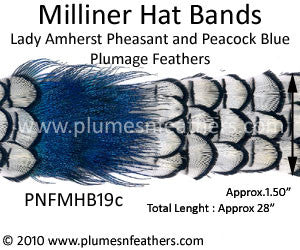 Hat Band '19c'