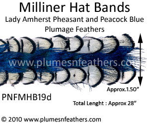 Hat Band '19d'